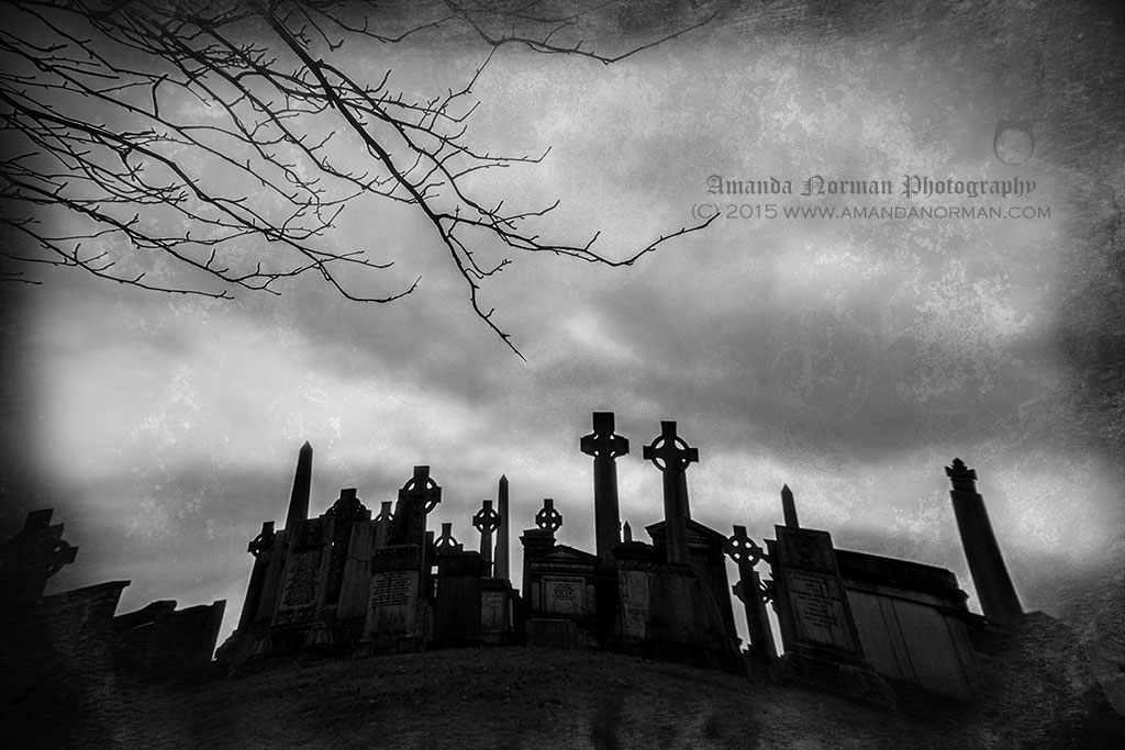 Glasgow Necropolis by Amanda Norman