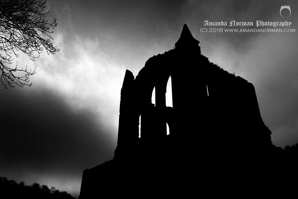 The ruins of Rievaulx Abbey in Yorkshire Gothic Horror Abbey