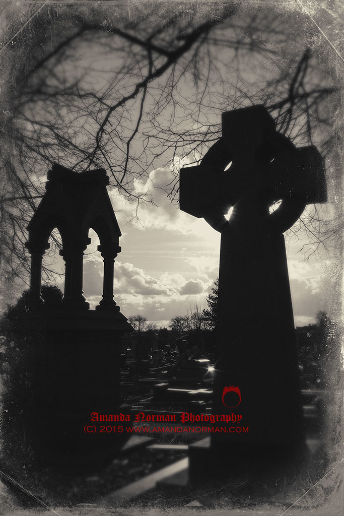 Photograph of a monuments in a cemetery