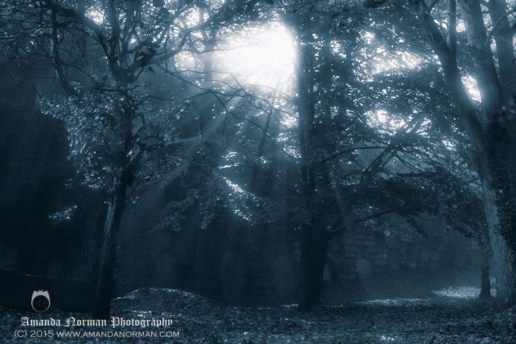 Photograph taken at night in St James Cemetery Liverpool
