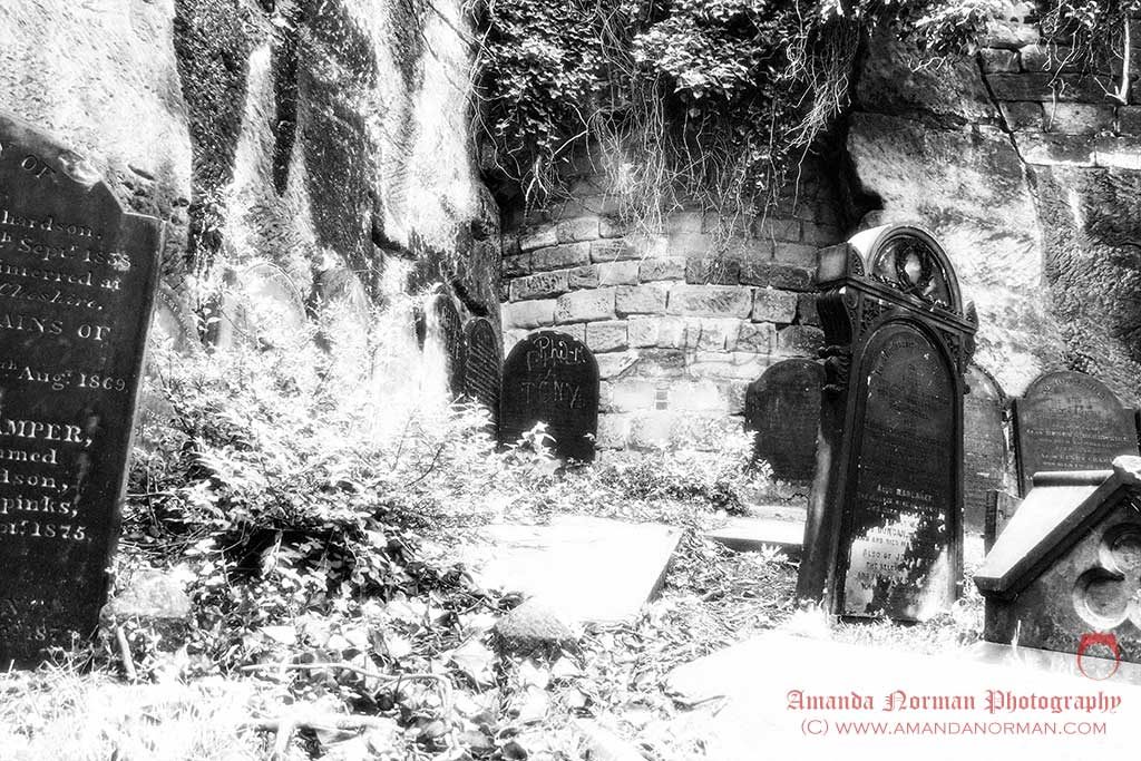 A photograph of St James Cemetery, Liverpool