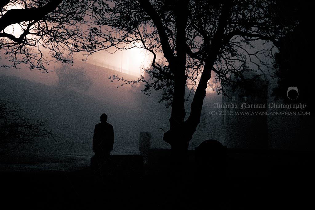 Photograph taken at night in St James Cemetery Liverpool