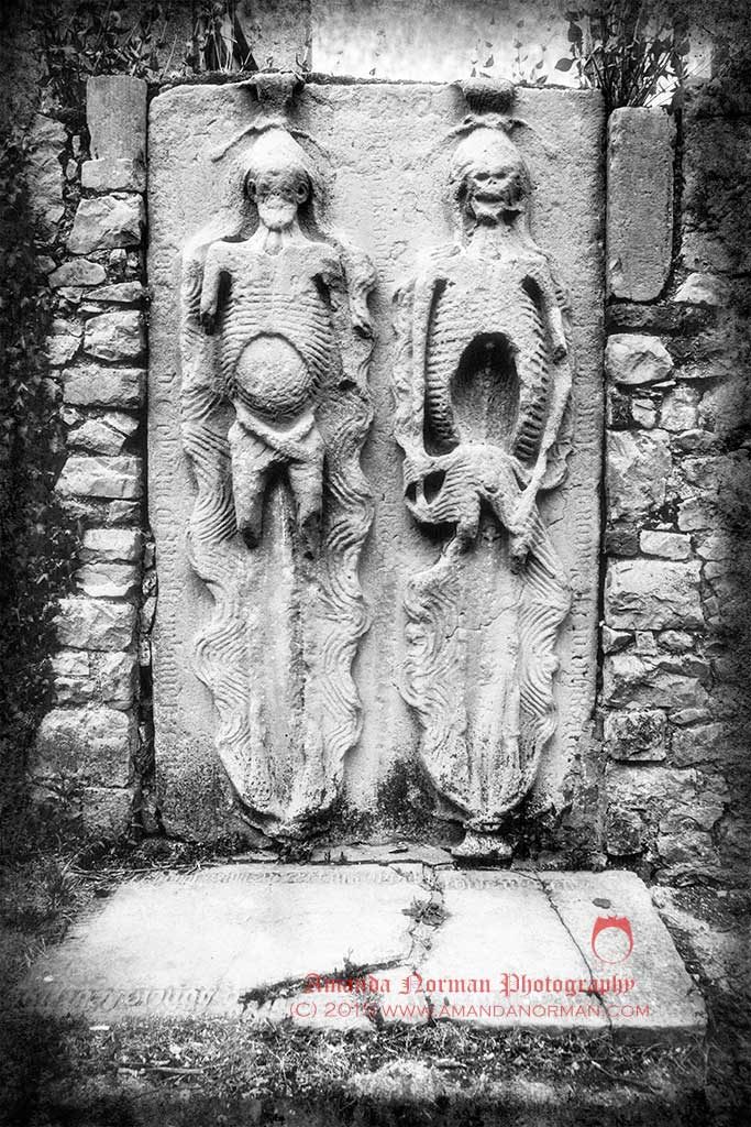 Drogheda Cadavers