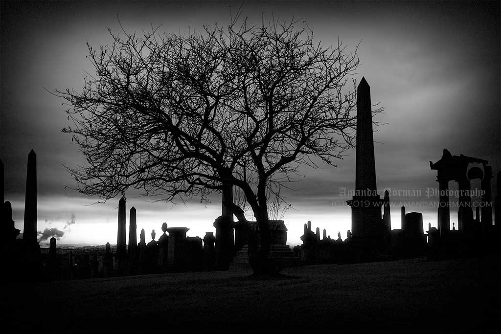 Glasgow Necropolis by Amanda Norman