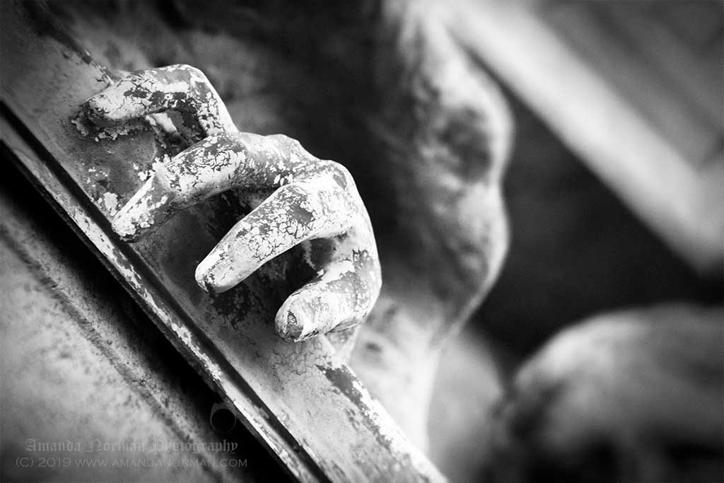 Glasgow Necropolis by Amanda Norman